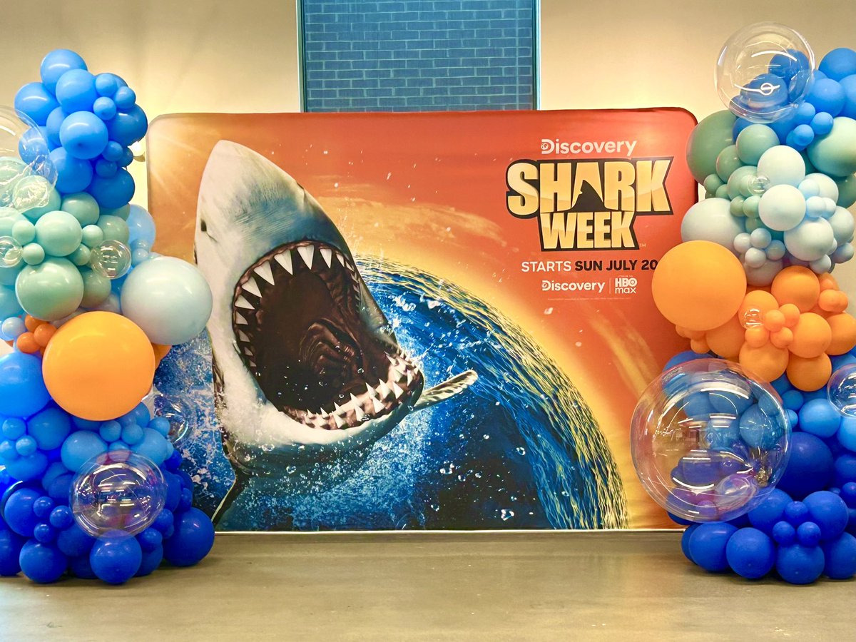 WynnWs's tweet image. Scenes from Shark Week at work🦈
#SharkWeek #WBD