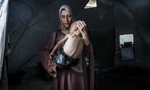 Tzenh's tweet image. A desperate mother and a starving child. The human embodiment of a cruel war.
This is one of those pictures that burns into your soul.
❤️Let aid in.
🤍Stop this cruel war.
💚Recognise Palestine
Pic credit: Ahmed Al-Arini via Daily Mail #Palestine #FreePalestine