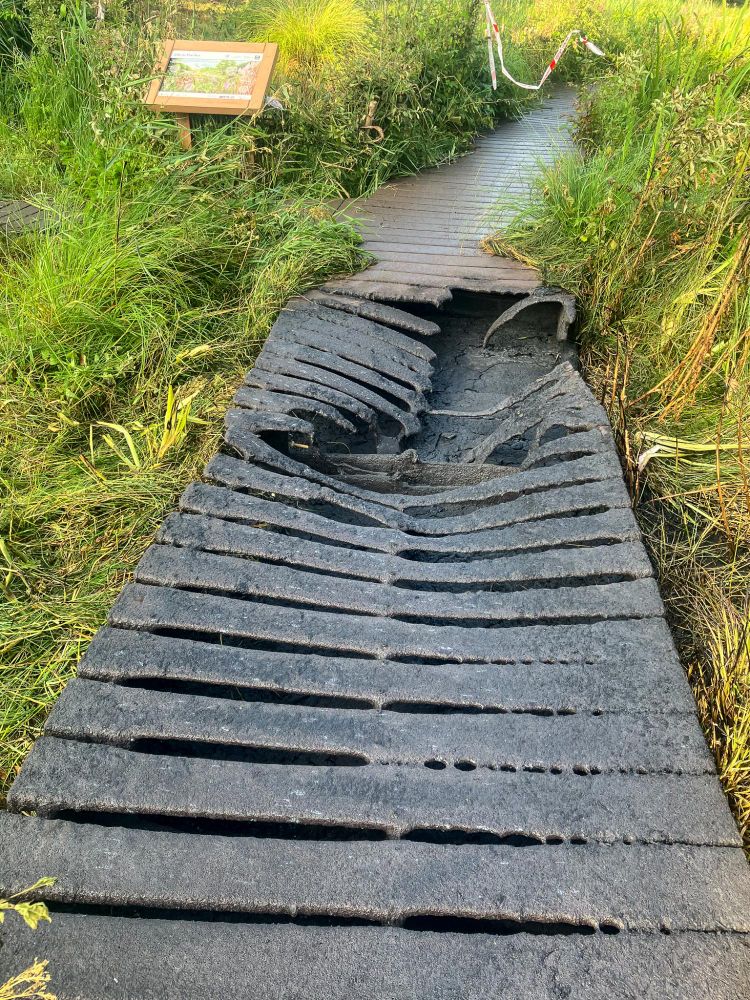 OxfordClarion's tweet image. The popular walking route through Lye Valley nature reserve in Headington is currently inaccessible after the raised boardwalk was set on fire overnight. The Friends of Lye Valley have reported the vandalism to Oxford City Council.