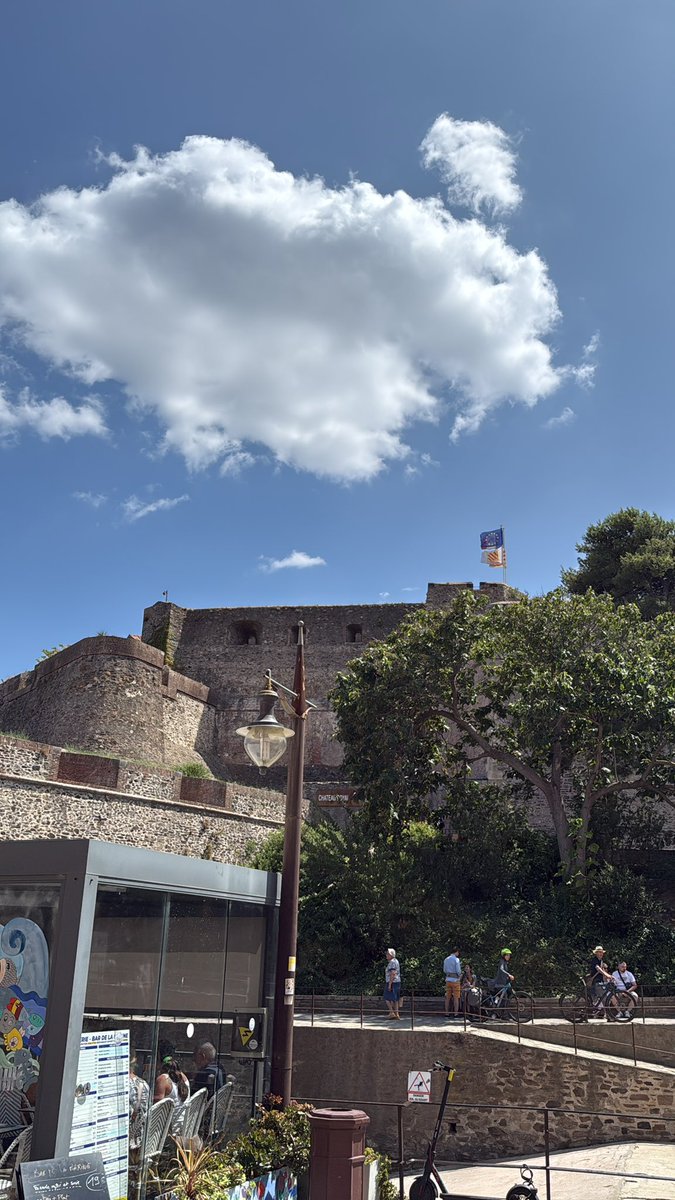 Boyat Christophe Triath’Tof tweet media