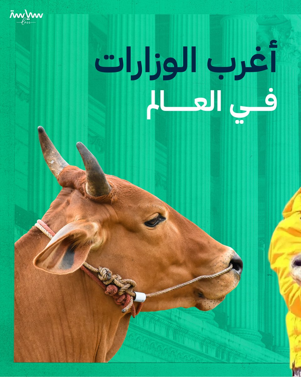 من بينها وزارة الأبقار في الهند ووزارة المراحيض في اليابان.. أغرب الوزارات في العالم وأدوارها المختلفة

#سياسة_لس