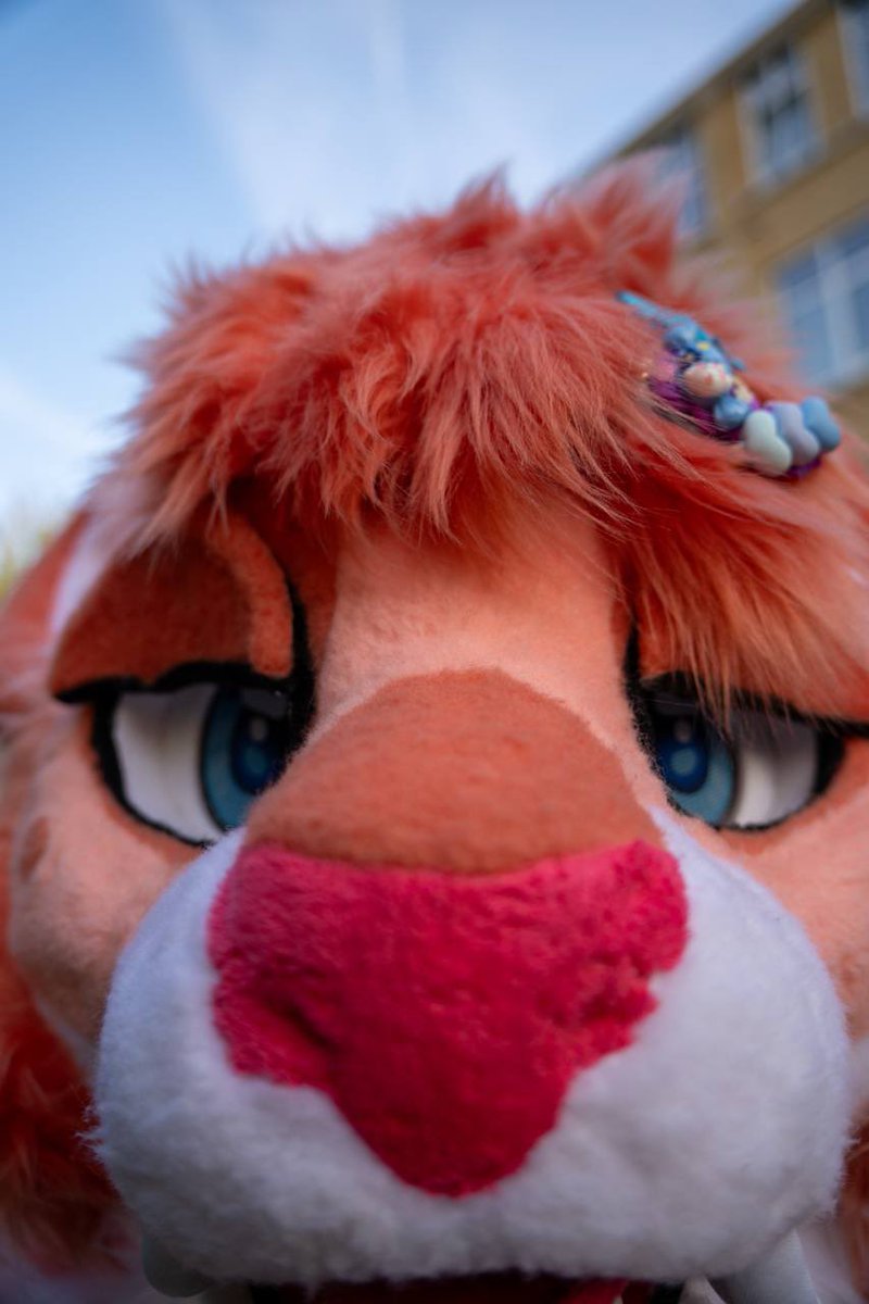 Hey you there , whatcha looking at ?

📸: <a href="/Snowflake_Snep/">Snowflake</a> 

#furry #FursuitFriday