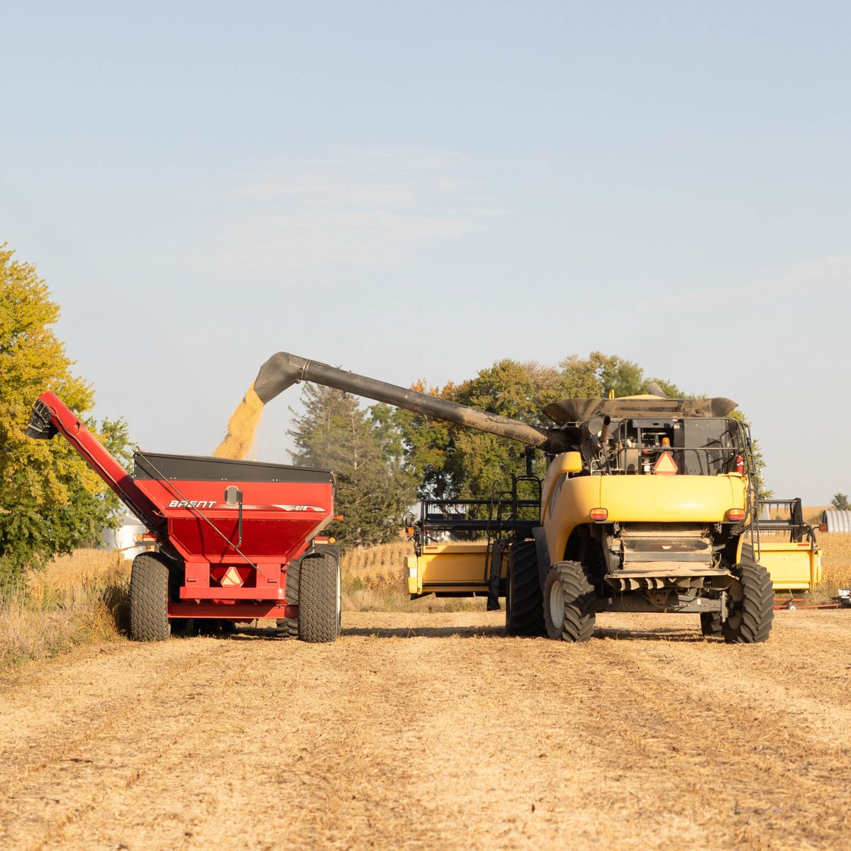 Plan now to market a potential 📈 record crop. Farmers are halfway through the growing season. 🌱 What marketing strategies should they use to maximize profits? Find out here ▶️ hubs.li/Q03yTQ4F0

Funded by the soybean checkoff.