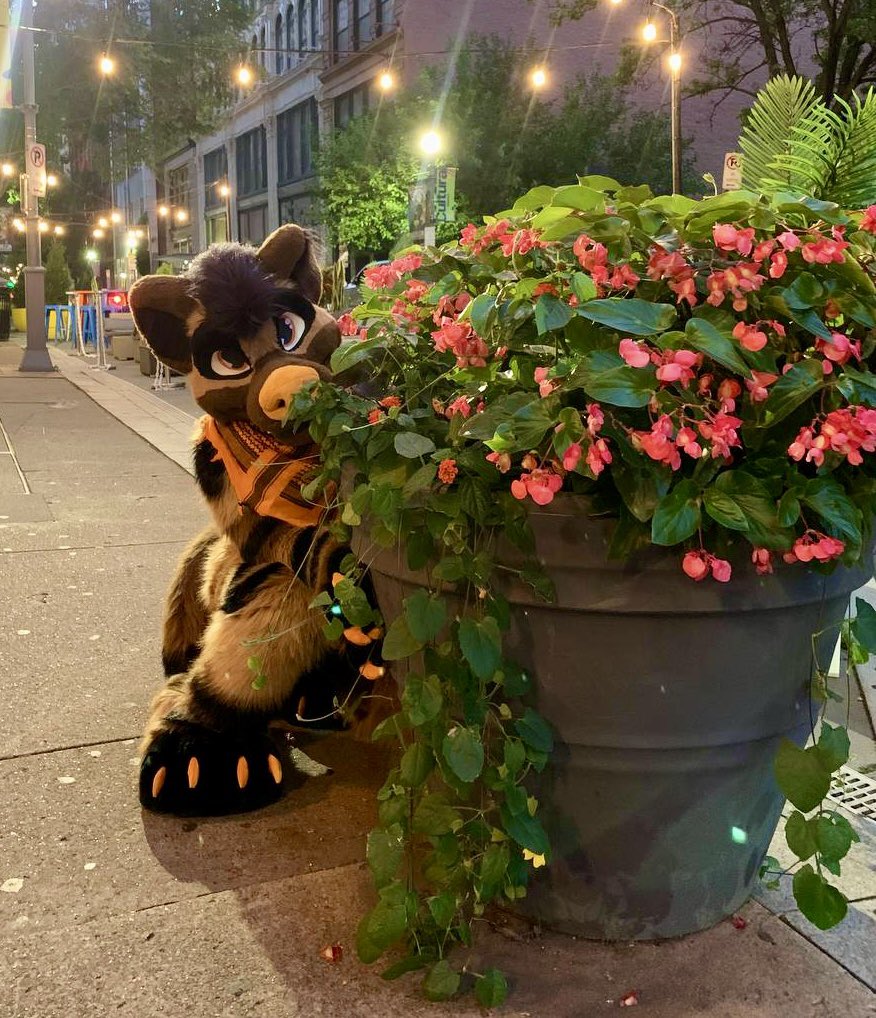 Sleeping Steve tweet media