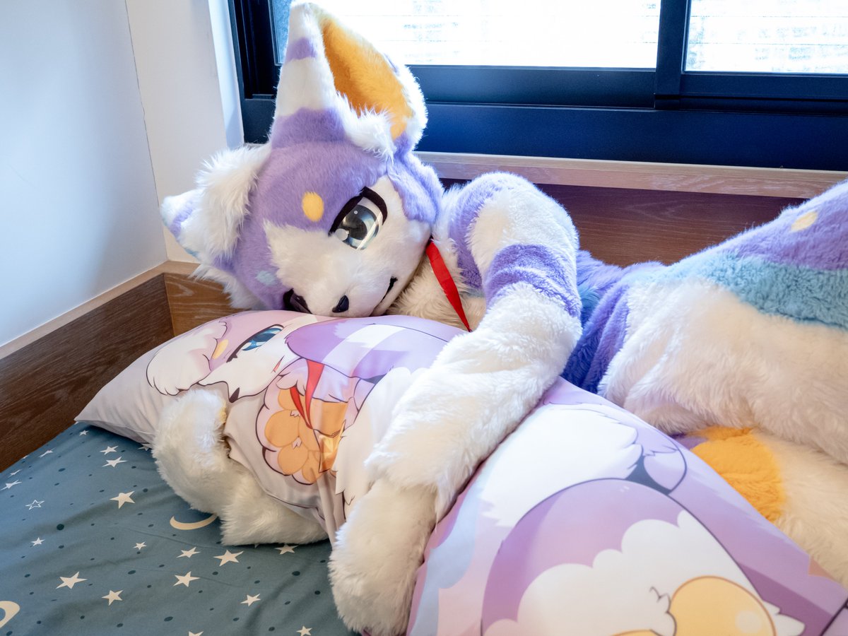 RmirCat's tweet photo. ゴロゴロ
📷@daisukechen_tw
#FursuitFriday https://t.co/wXgBpBLFLU