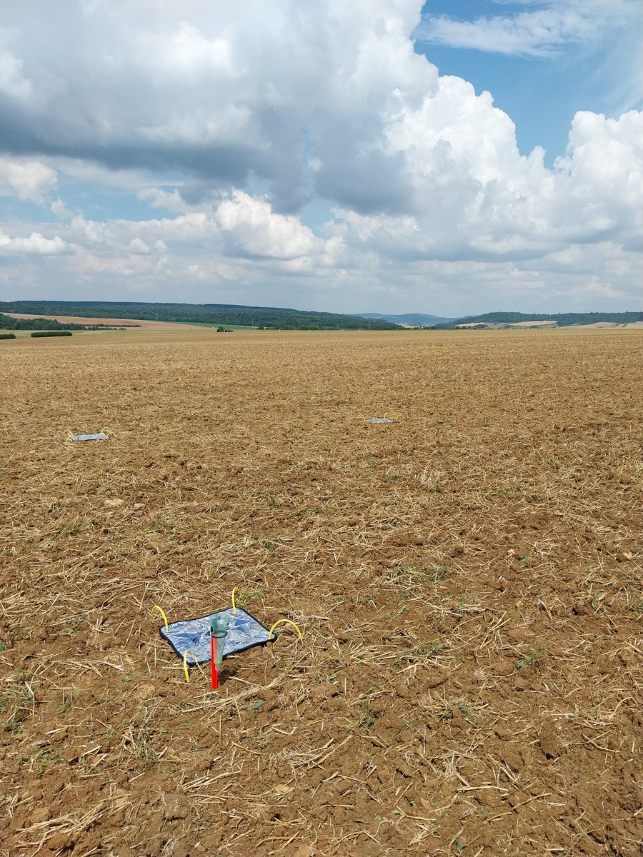 OM_TInovia's tweet photo. Lancement de la campagne #colza2026. Mise en place de pièges pour la surveillance 🐌 #limaces de l'observatoire @DESANGOSSE #ceuxquifontlesessais https://t.co/tAzZqC0DNj