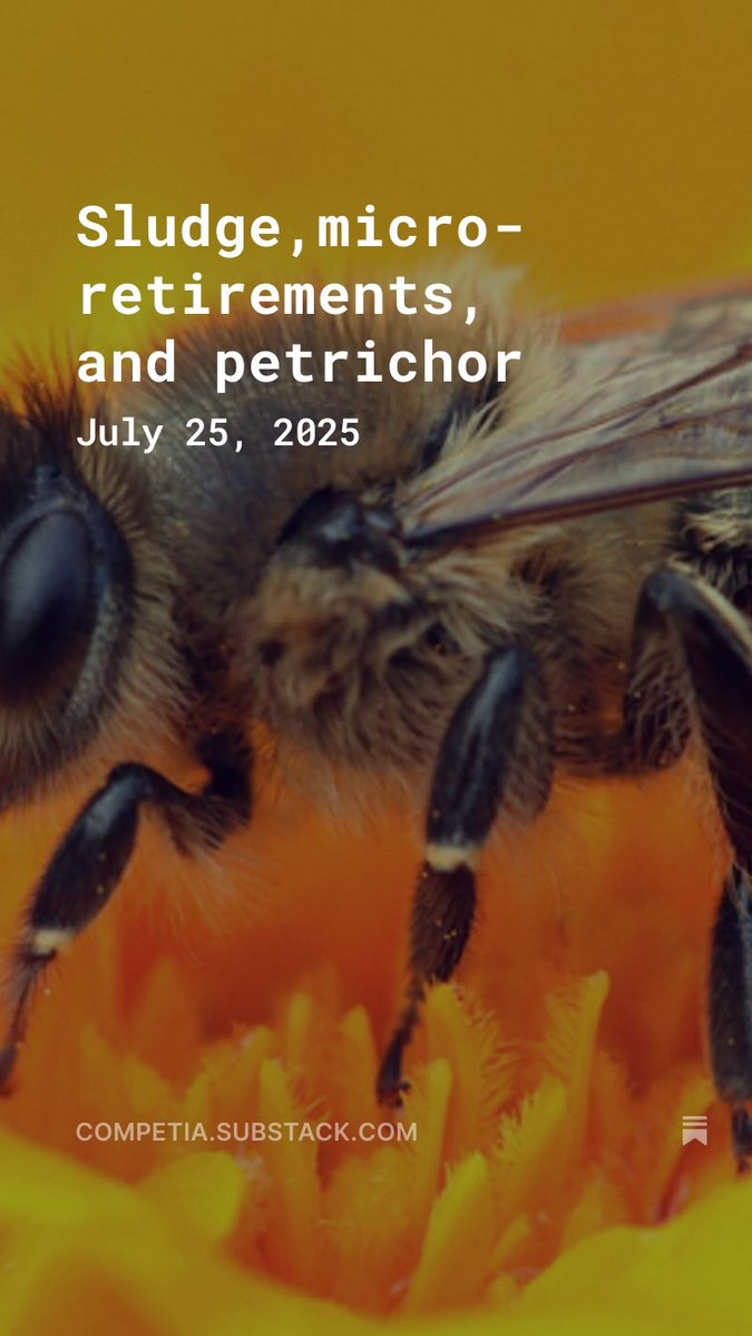 Estelle Metayer tweet media