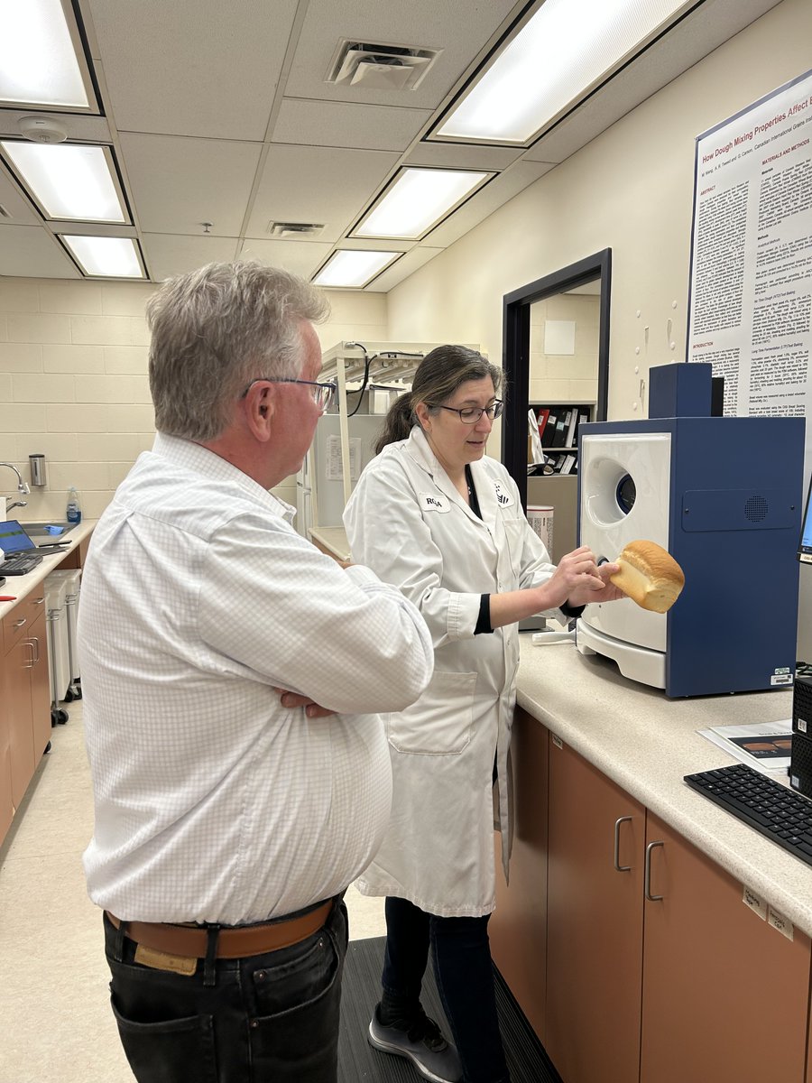 SenatorRobBlack's tweet image. Did you know that Canada is expected to export 26.2 million tonnes of wheat this year, making it the world’s second largest exporter of wheat? I had the pleasure of visiting @Cereals_Canada to better understand how they use research and advocacy to support the Canadian cereals…