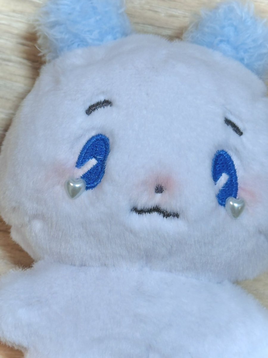 💙🩵💙🩵💙🩵