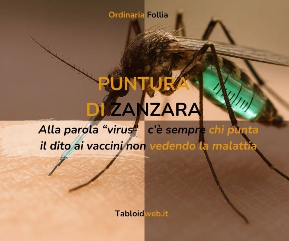 TabloidWeb1's tweet photo. #ORDINARIAFOLLIA – #Vaccini contro l’#ignoranza ne abbiamo?

In questi giorni abbiamo scritto tanto del #WestNile #Virus....

L'articolo completo
https://t.co/oLi6NgO4mq https://t.co/12S6i7D8V8