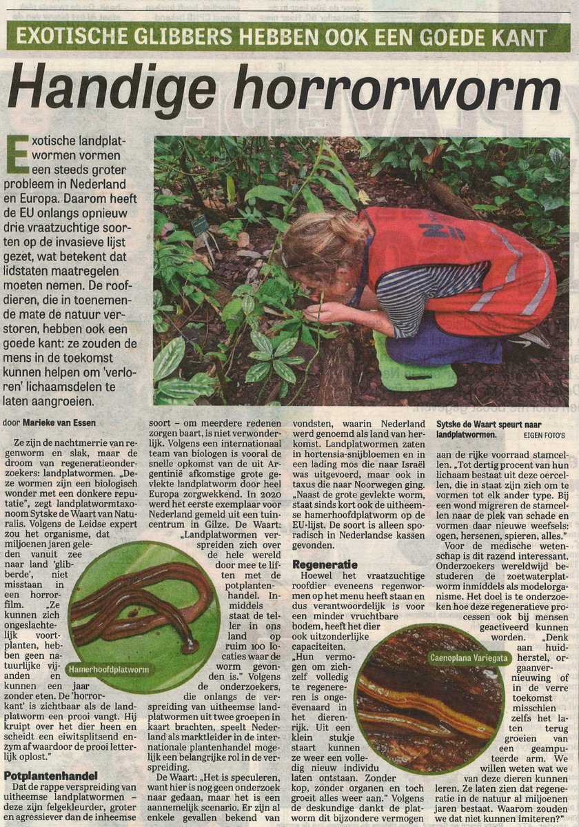 Sytske de Waart tweet media