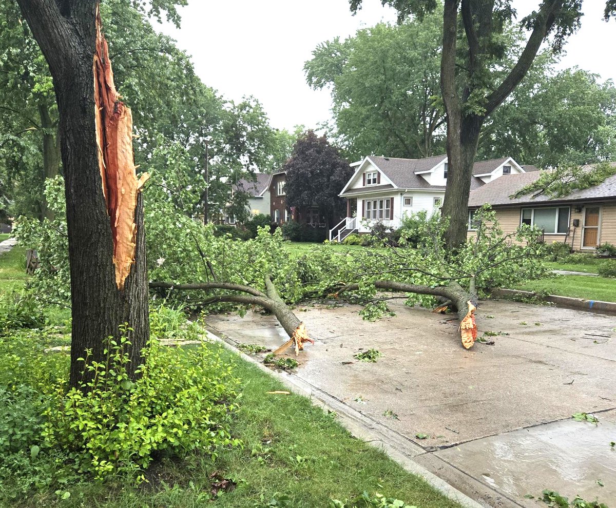 BrookfieldILPS's tweet photo. 🌳 Our Forestry crew worked until 12:15 a.m. after yesterday’s strong storm and is back out today tackling over 40 open cleanup tickets. Thanks for your patience as we continue storm damage cleanup across Brookfield! #BrookfieldIL #StormCleanup #PublicWorks https://t.co/ndciVPWhZR