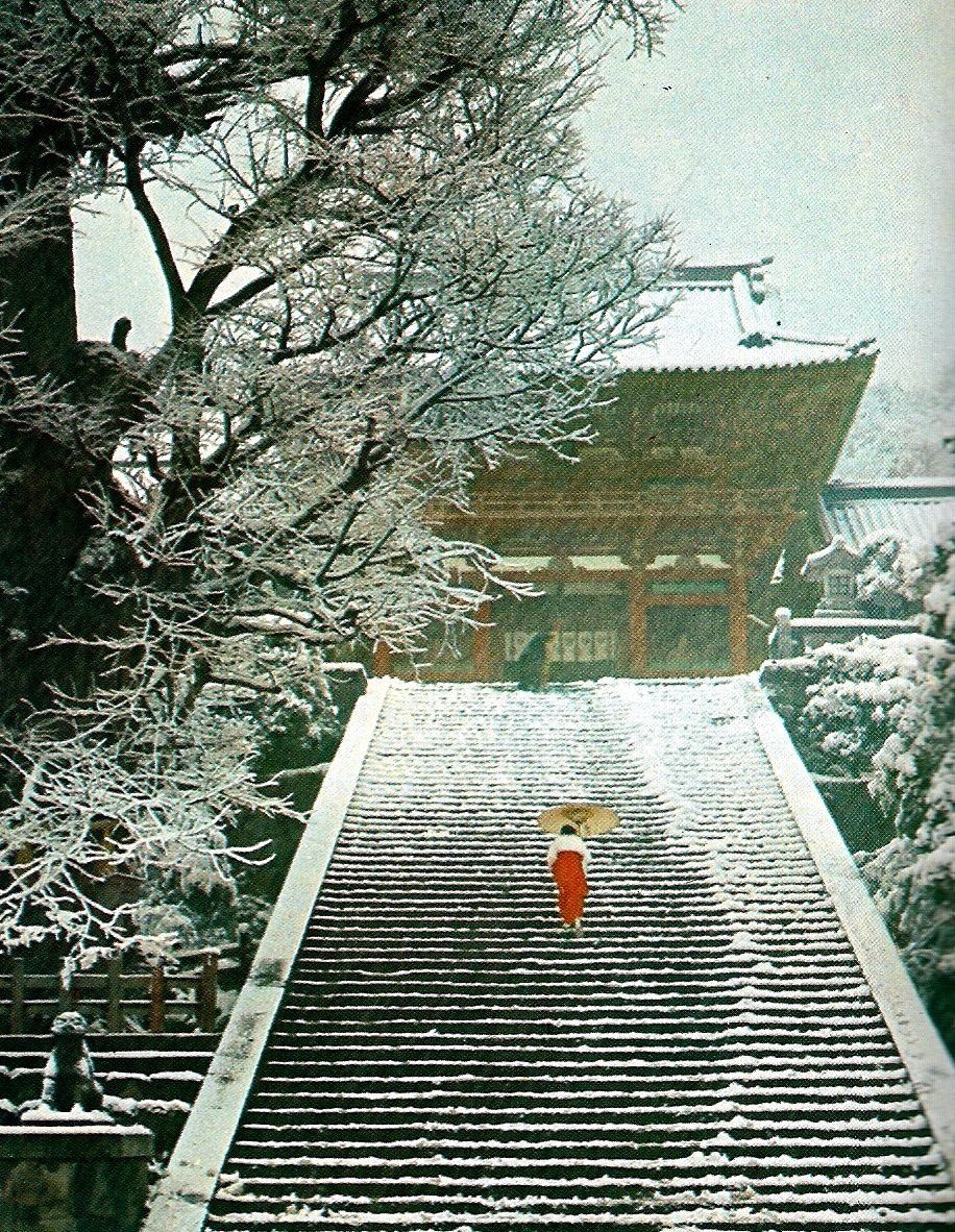 EasternAesth's tweet image. Sometimes you are alone