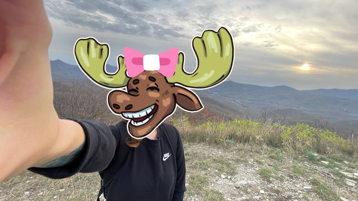 Crypto_k1sa's tweet image. 🫎Real Moose go searching for keys and acorns even in the mountains! @DataHaven_xyz 
 Join us! discord.gg/FjEgFb84