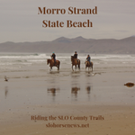 Photo by SLO Horse News (@slohn)