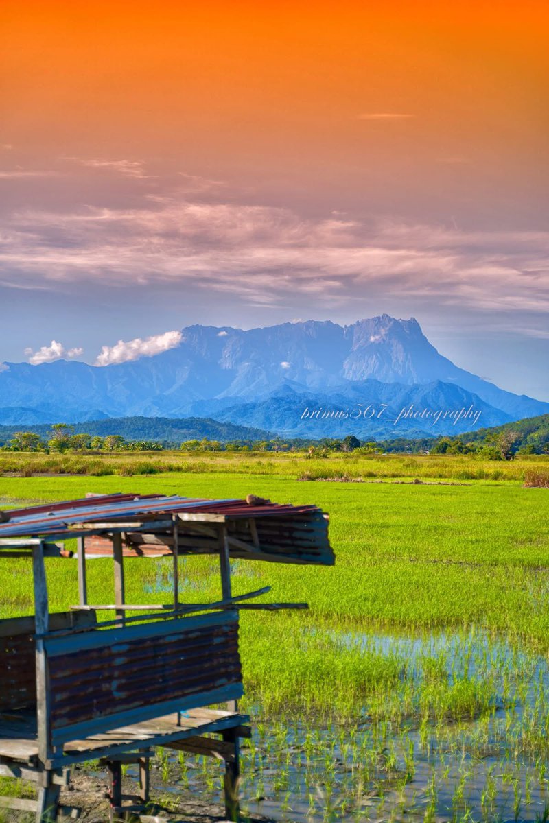 primus567 tweet media