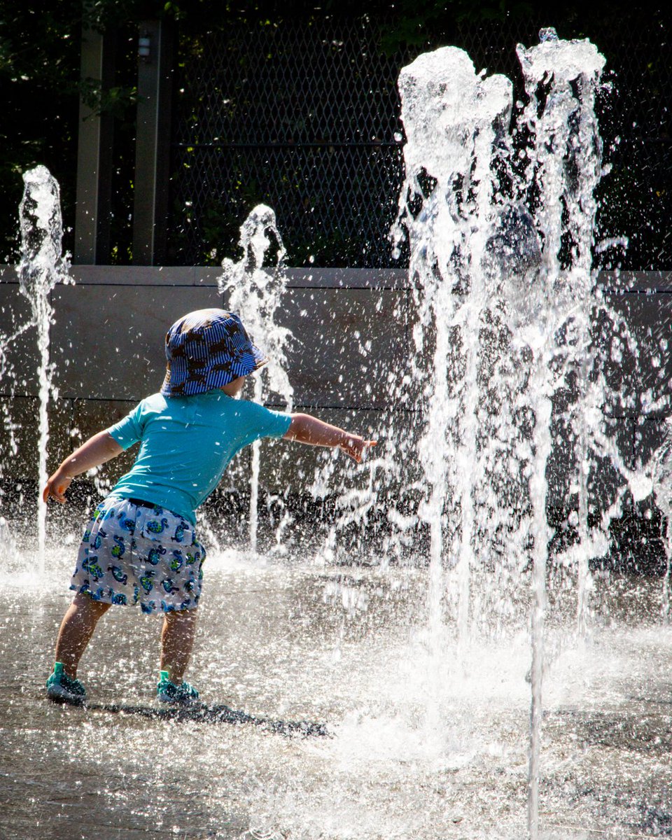 JardindAcclim's tweet image. Pas besoin de quitter Paris pour se rafraîchir ! 💦
Cet été, le #jardindacclimatation se transforme en oasis de fraîcheur pour toute la famille.
Fontaines, jeux d’eau, brumisateurs... pendant que les enfants s’éclaboussent, les parents se détendent à l’ombre des arbres.