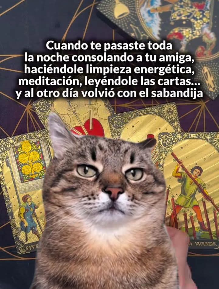 Así sucede banda, que se le puede hacer? 😅😅😅