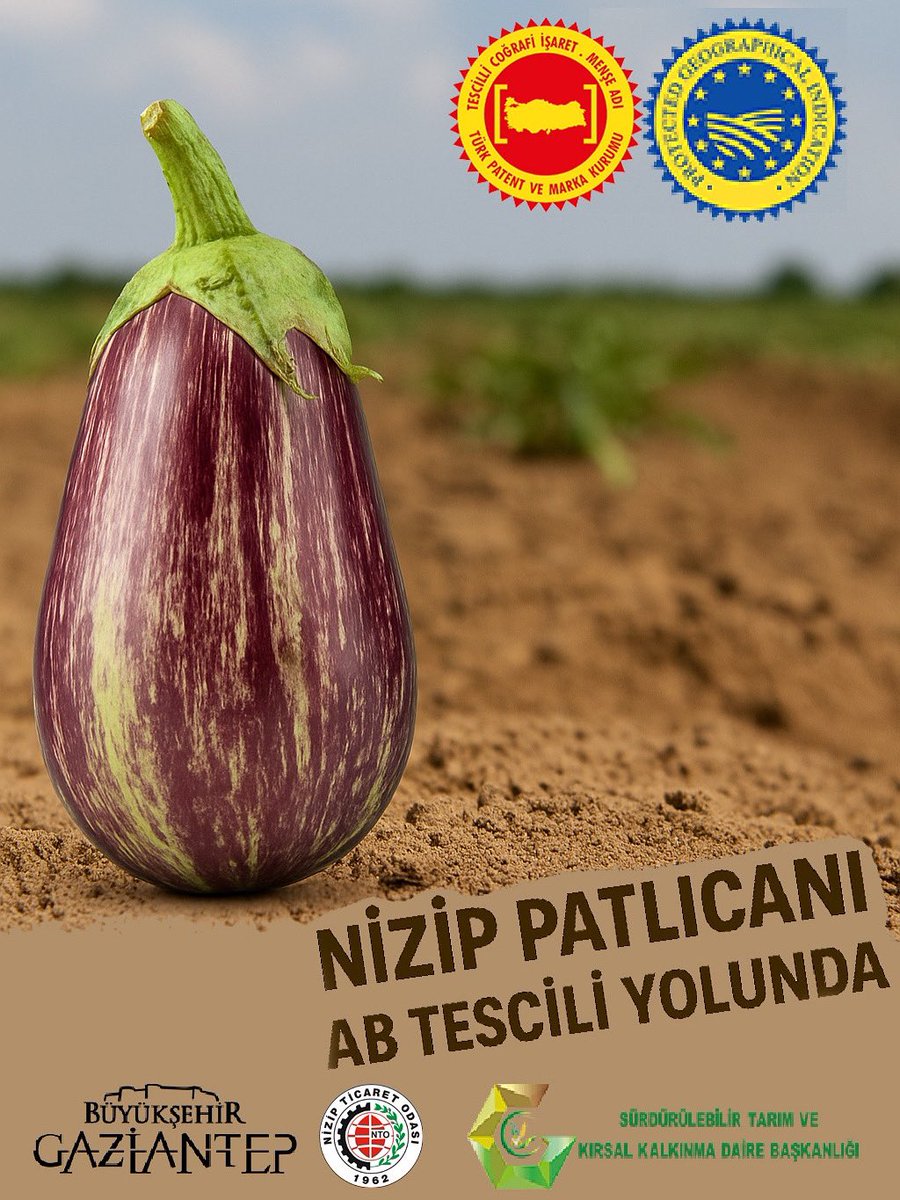 📍 Nizip Patlıcanı, AB yolunda!

✅ Tescili Nizip Ticaret Odamız yaptı, AB Coğrafi İşaret başvurusunu Gaziantep Büyükşehir Belediyesi olarak tamamladık. 

🌍 Gaziantep yine Avrupa’da en çok tescilli ürüne sahip şehir olacak!