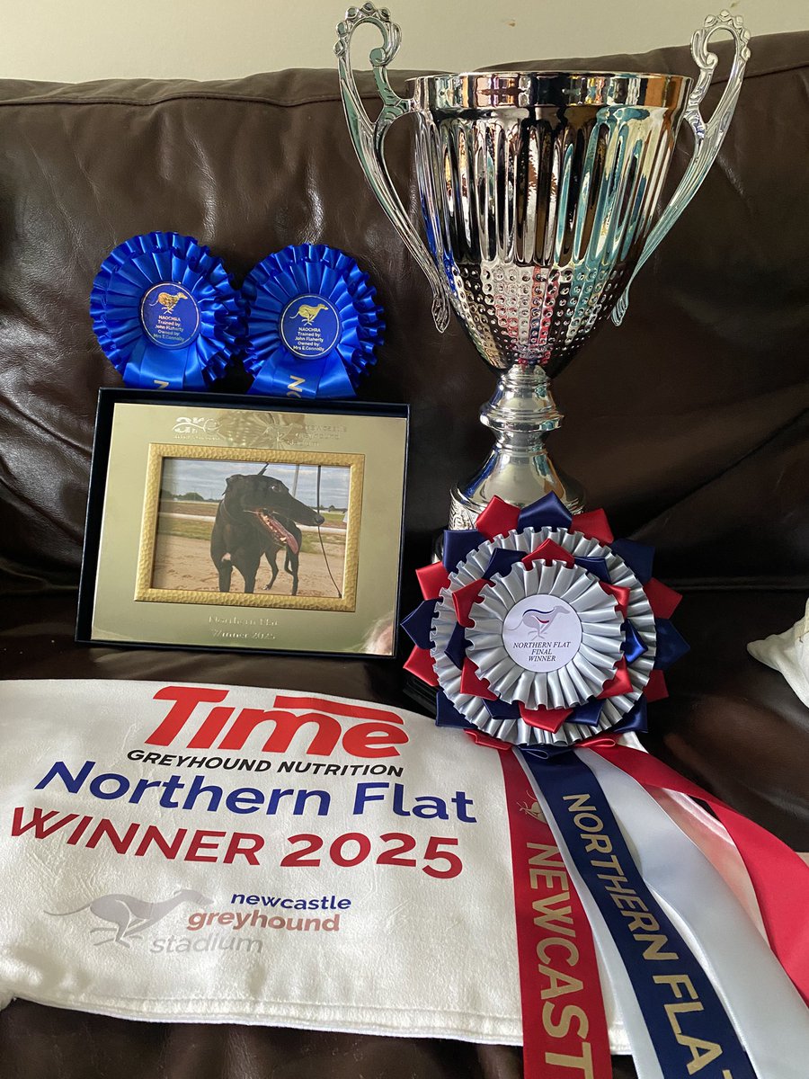 Naochra wins the Time Northern Flat what a dog. Great training performance from John Flaherty. Thank you to the Sponsors and to Newcastle staff who made the night for my family. loved the special touch of a framed picture of my wee dog #greyhounds #pups #Newcastledogs #dunphys
