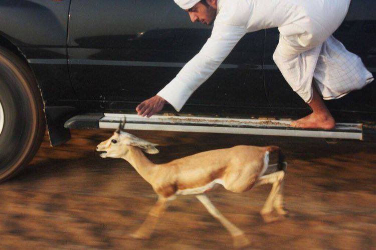 krscd's tweet image. 