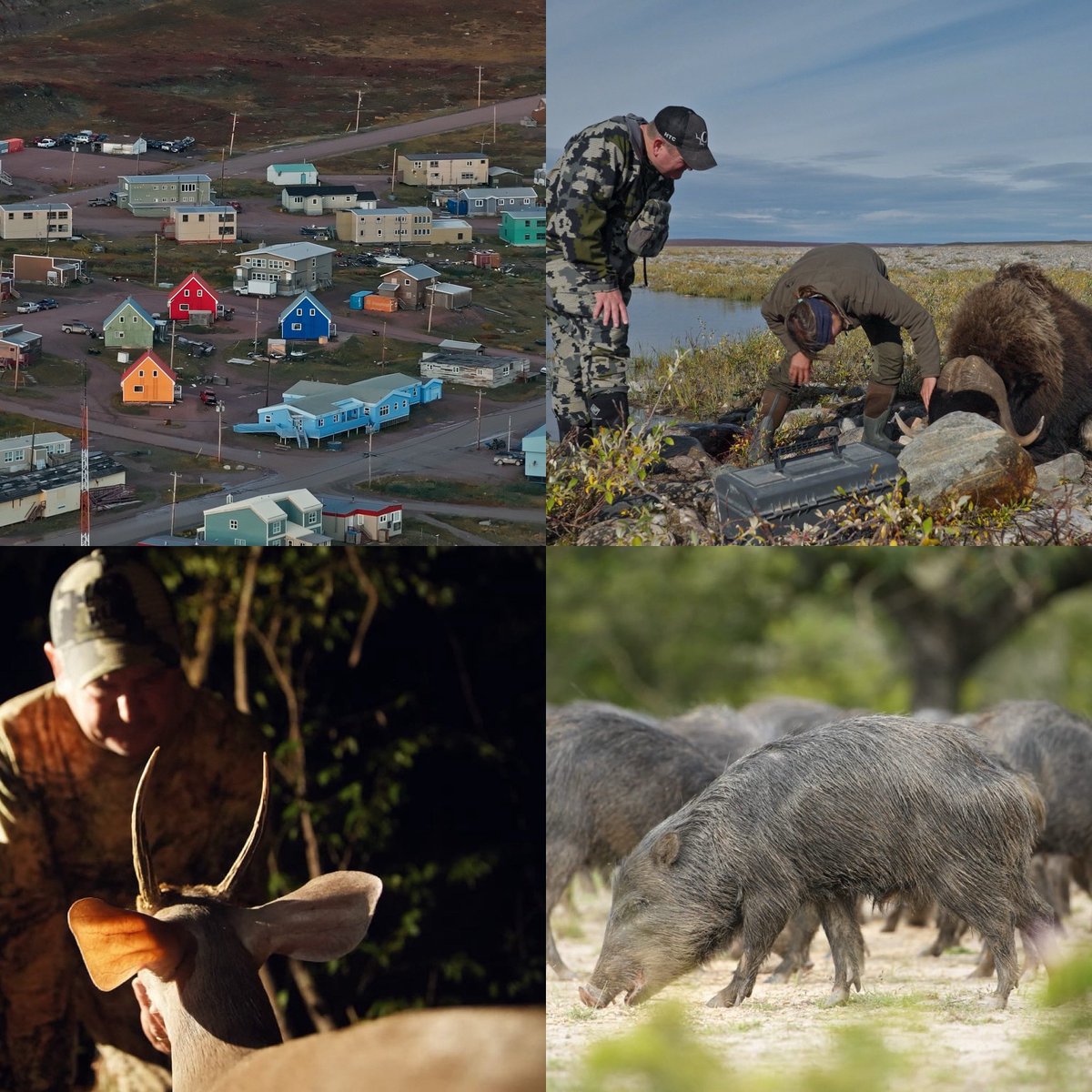 discodantheman's tweet photo. Nunavut and the Yucatán!
Join us for an entire hour of conservation-based programming from around the world. Don’t miss either episode this Sunday, July 27th, at 8:00AM and 8:30AM Eastern, on Animal Planet!
#hardtruthsofconservation #cabelafamilyfoundation https://t.co/74lUqajaz0