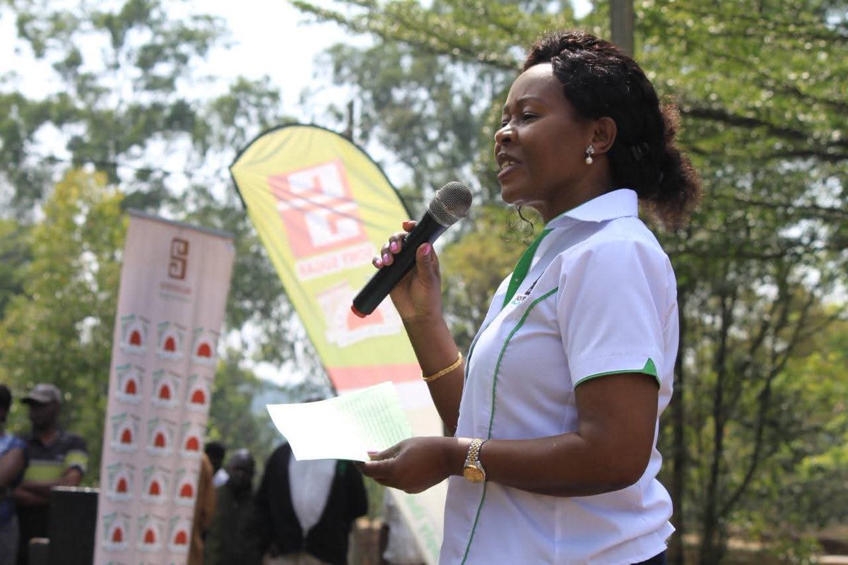 SonySugar Company 2025 Ltd tweet media