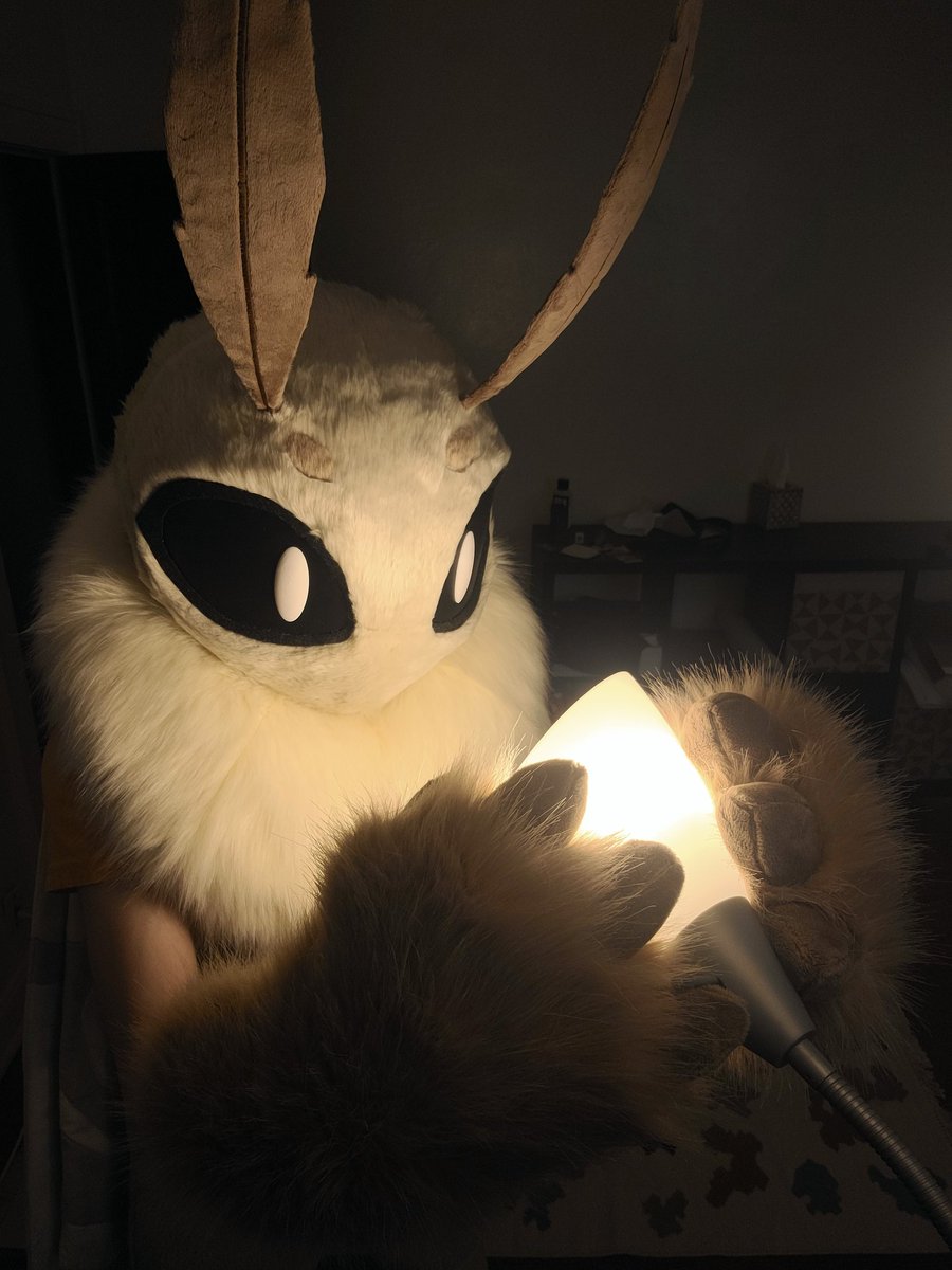 bronk (@branjueas) on Twitter photo merry #FursuitFriday to all
praise lamp ๐๐ก
ALSO I'm gonna be at Fizzy Fox this Saturday, feel free to come say hi!! merry #FursuitFriday to all
praise lamp ๐๐ก
ALSO I'm gonna be at Fizzy Fox this Saturday, feel free to come say hi!!