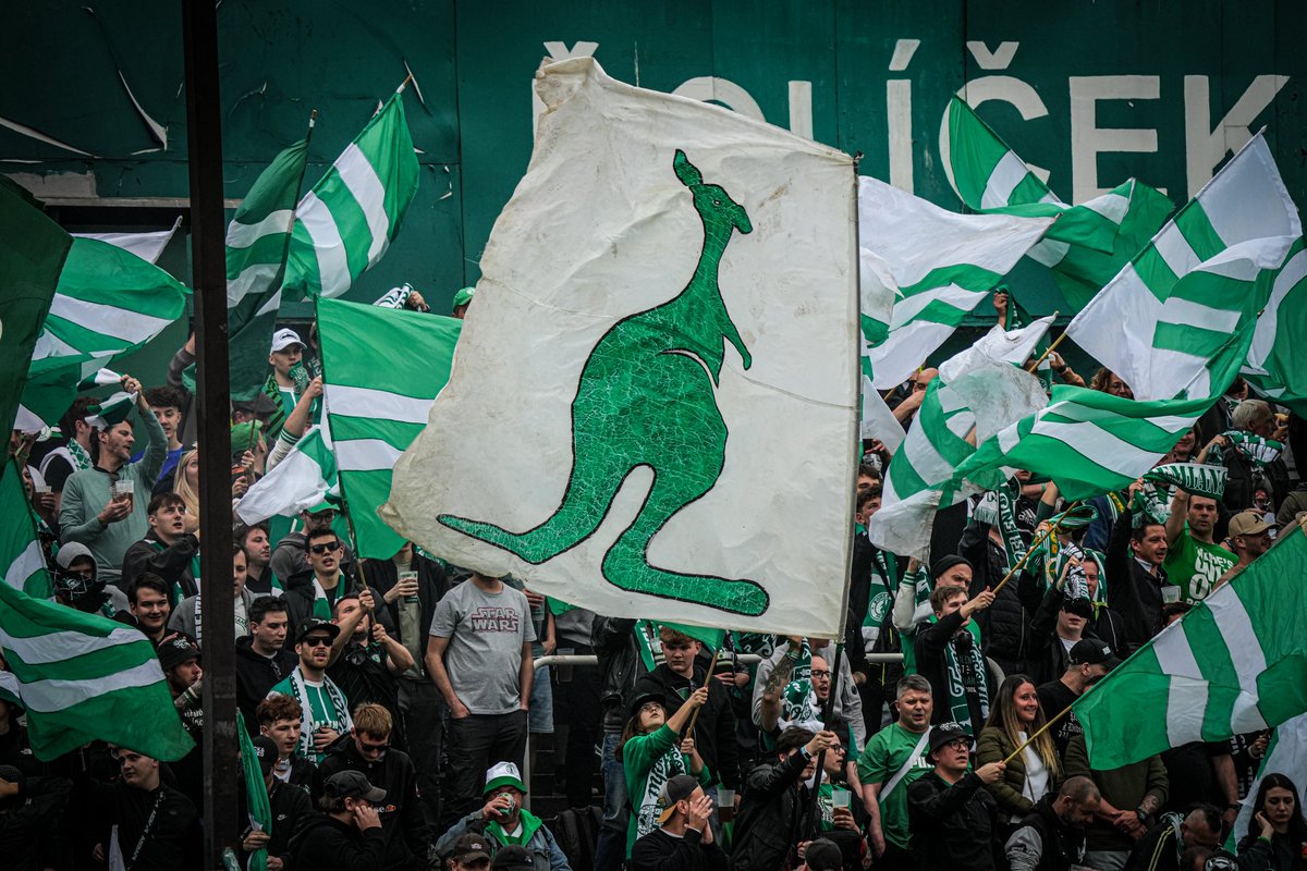 bohemians1905's tweet image. Uvolňování permanentek má smysl 💚 Díky tomu mohlo přijít 427 fanoušků na zápas s Baníkem na místa, která by jinak zůstala prázdná 🙏🏻 Pokud nemůžete na Vršovické derby, uvolněte své místo pro jiného Klokana 🦘
➡️ bohemians.cz/pravidla-perma…