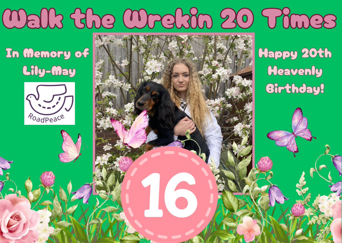 lmvaughan11's tweet image. Walk 16/20 in memory of Lily-May & to raise funds for @RoadPeace.
Did today’s Wrekin walk with Sadie, imagining Lily-May beside us, and what she’d be chatting about at 19 💔
Nature sent robins, butterflies & bees to lift us 🐦🦋🐝
Please donate/share: justgiving.com/page/leanne-va…