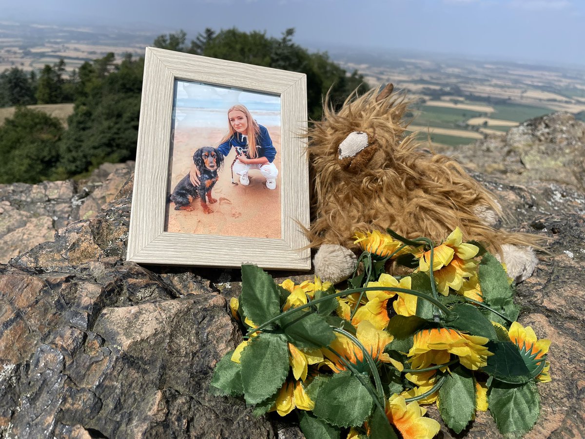 lmvaughan11's tweet image. Walk 16/20 in memory of Lily-May & to raise funds for @RoadPeace.
Did today’s Wrekin walk with Sadie, imagining Lily-May beside us, and what she’d be chatting about at 19 💔
Nature sent robins, butterflies & bees to lift us 🐦🦋🐝
Please donate/share: justgiving.com/page/leanne-va…