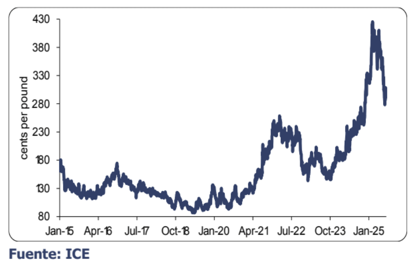 Perspectiva del Café: La falta de suministros brasileños sigue creando vulnerabilidad en el mercado