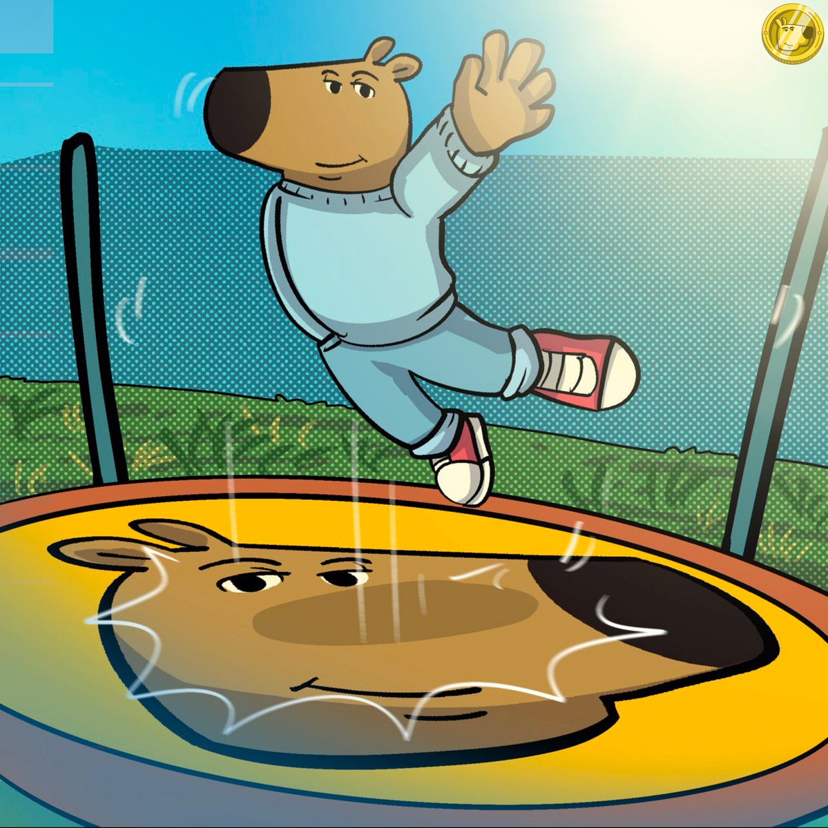 bounce.