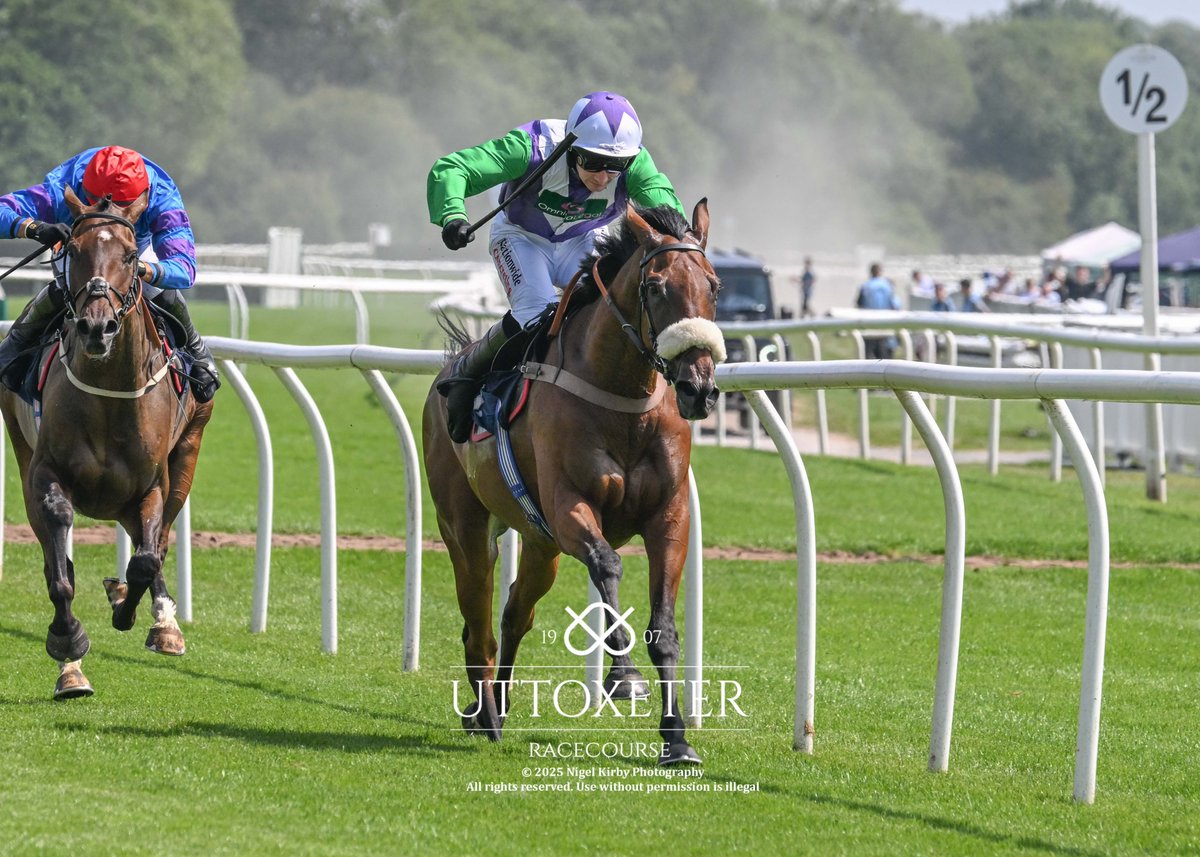 Uttoxeter Racecourse (@uttoxeterraces) on Twitter photo Race 2 - Boots Opticians Uttoxeter Novices' Hurdle (GBB Race) (Div 2)
Winner - Soul Limbo
Trainer - <a href="/HarryFryRacing1/">Harry Fry Racing</a>
Jockey - <a href="/Rex_Dingle/">Rex Dingle</a>
Owner - Twelfth Man Partnership
All images taken by - <a href="/nigekirby/">Nigel Kirby Photography</a> Race 2 - Boots Opticians Uttoxeter Novices' Hurdle (GBB Race) (Div 2)
Winner - Soul Limbo
Trainer - <a href="/HarryFryRacing1/">Harry Fry Racing</a>
Jockey - <a href="/Rex_Dingle/">Rex Dingle</a>
Owner - Twelfth Man Partnership
All images taken by - <a href="/nigekirby/">Nigel Kirby Photography</a>