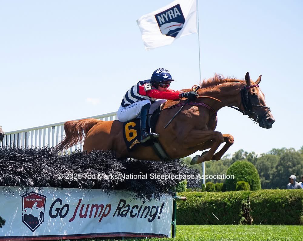 AFRUKUS's tweet image. Historic Heart aka Harry wins his and AFR’s first Grade 1 win at historical Saratoga Racecourse. Incredible achievement coming back after over a year off and massive thanks to AFR owners, Keri Brion, Danny Mullins and all involved at the yard. @Keri145 @Berge1La @USASteeplechase
