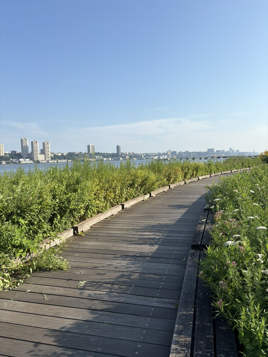 drjulespsych's tweet image. Thanks to @rcpsychNI #RCPsychNIRunning for the #WestsideHighway 🏃🏻#CentralPark #Headspace #BeautifulButBrutal #GreensAndBlues