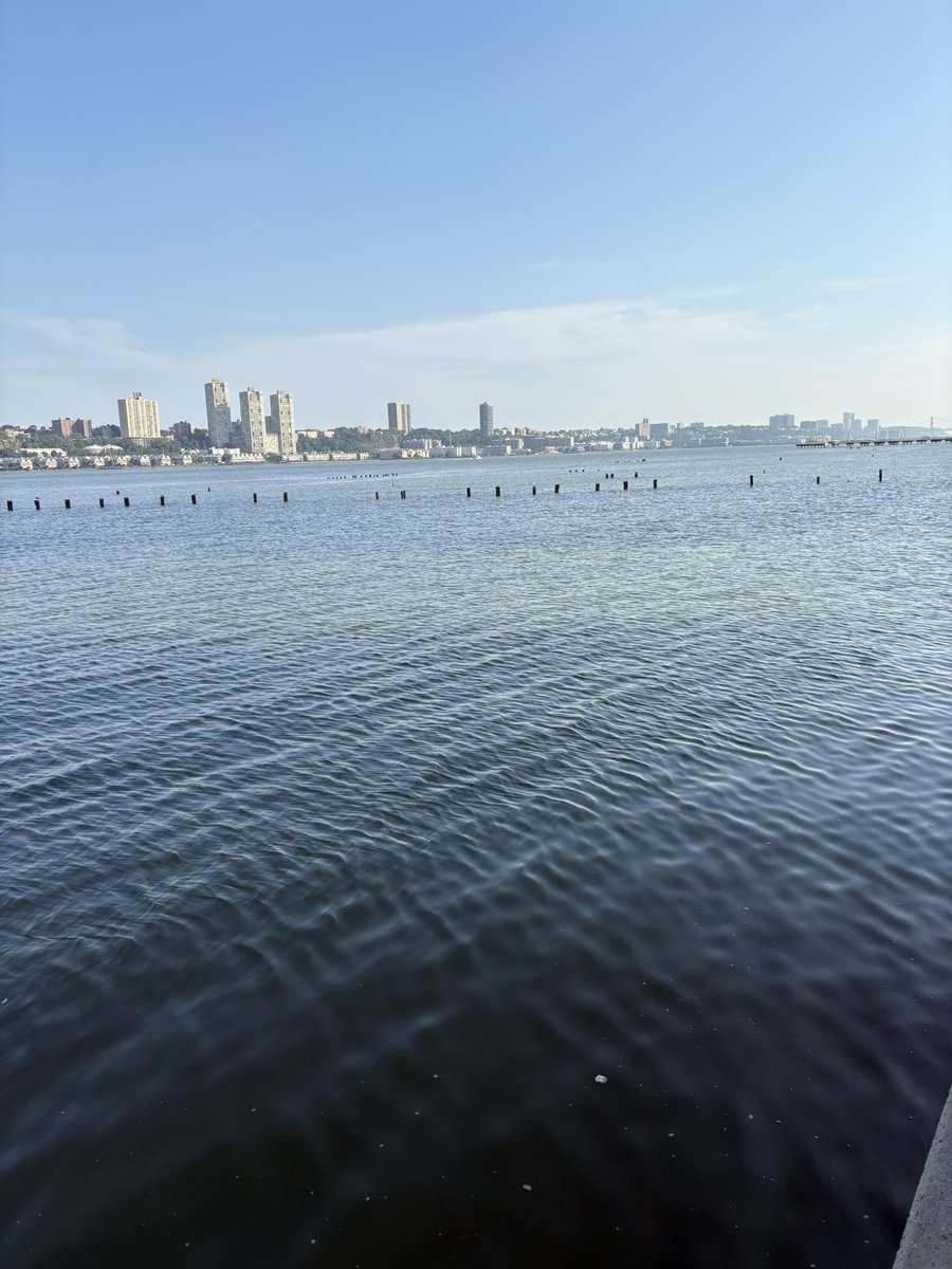 drjulespsych's tweet image. Thanks to @rcpsychNI #RCPsychNIRunning for the #WestsideHighway 🏃🏻#CentralPark #Headspace #BeautifulButBrutal #GreensAndBlues