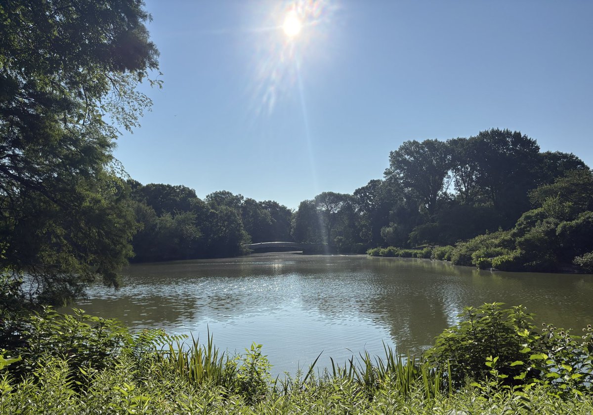 drjulespsych's tweet image. Thanks to @rcpsychNI #RCPsychNIRunning for the #WestsideHighway 🏃🏻#CentralPark #Headspace #BeautifulButBrutal #GreensAndBlues