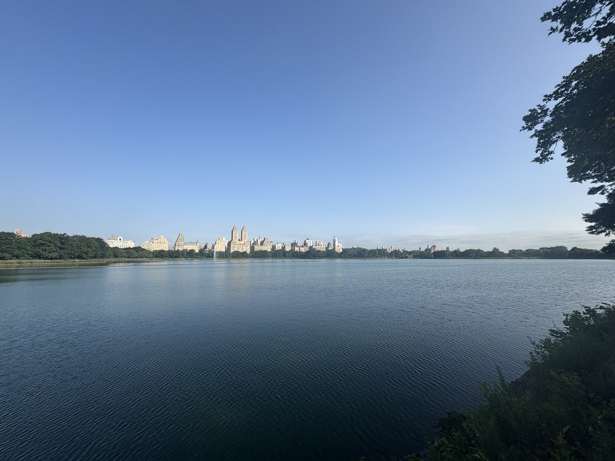 drjulespsych's tweet image. Thanks to @rcpsychNI #RCPsychNIRunning for the #WestsideHighway 🏃🏻#CentralPark #Headspace #BeautifulButBrutal #GreensAndBlues