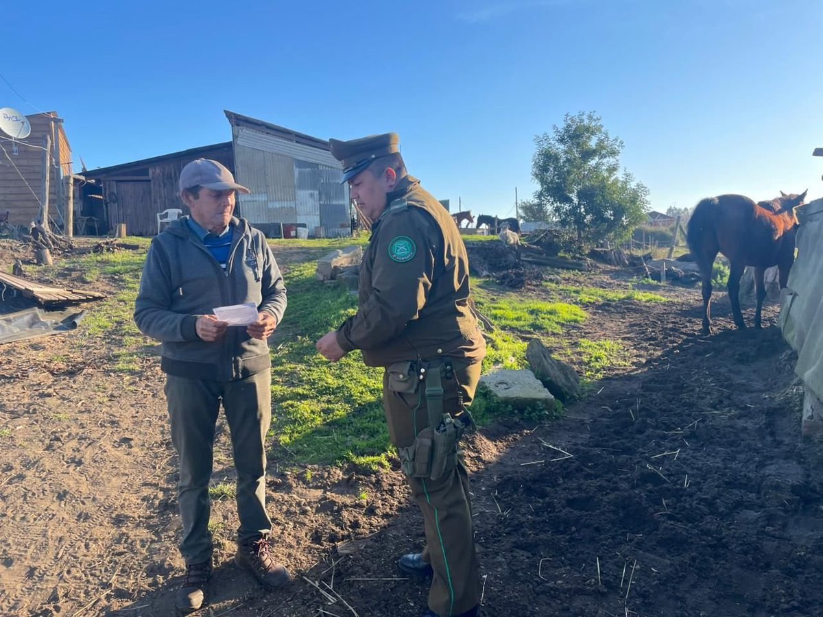 Carabineros de #PUTÚ dependiente de la 2ª.Com de #Constitución realizó una acción denominada " Evita Accidentes, No Dejes Tus Animales Sueltos" y con ello evitar posibles accidentes viales.
Se recomendó conservar los cierres de parcelas en buen estado y marcados sus animales🚘👮🏻.