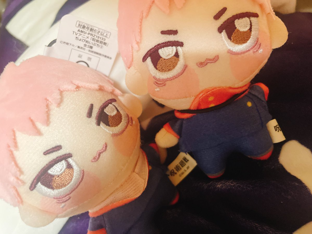 mamonaku_s's tweet image. ちょぴゆじ、きいてね
本当のちょぴゆじは後頭部が茶色なの
きみたちは下半分がピンクだよね?
間違ってるの
だから一人は交換してもらおうと思うの