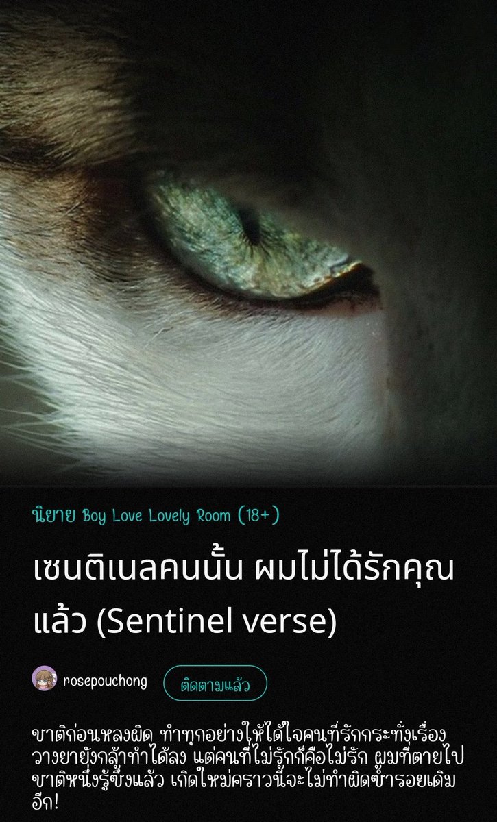 #เซนติเนลคนนั้นผมไม่ได้รักคุณแล้ว 
#แนะนำนิยายวาย อ่านแล้ว สนุกน่าติดตามมาก พระเอกหมาเด็กหอนดัง 😌
.
ชีวิตก่อนนายเอกคลั่งรักพระเอกมากจนบิดเบี้ยว ทำทุกวิถีทางเพื่อให้ได้ครอบครองพระเอก และผลของการกระทำที่แสนเลวร้ายนั้น