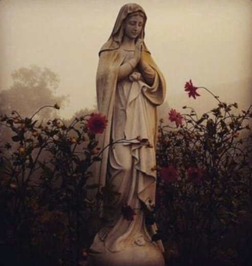 Totvs_tuus51320's tweet image. "Human words are not able to describe her who becomes the great Mother of God."
-St. Maximilian Maria Kolbe