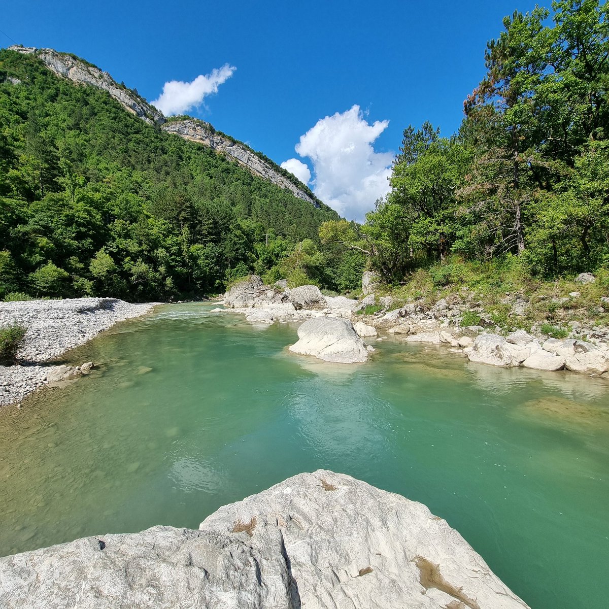 rickacrane's tweet image. Gm ☀️💚💙
We do a little wild swimming