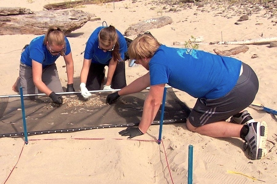 WetTribe's tweet image. Microplastics are widely found in coastal sediments globally, with studies from 209 turtle nesting beaches across 39 countries finding microplastics (1–5 mm) on 45% of the sampled beaches. #WetTribe #TidetotheOcean #FridayFieldUpdate #Microplastics