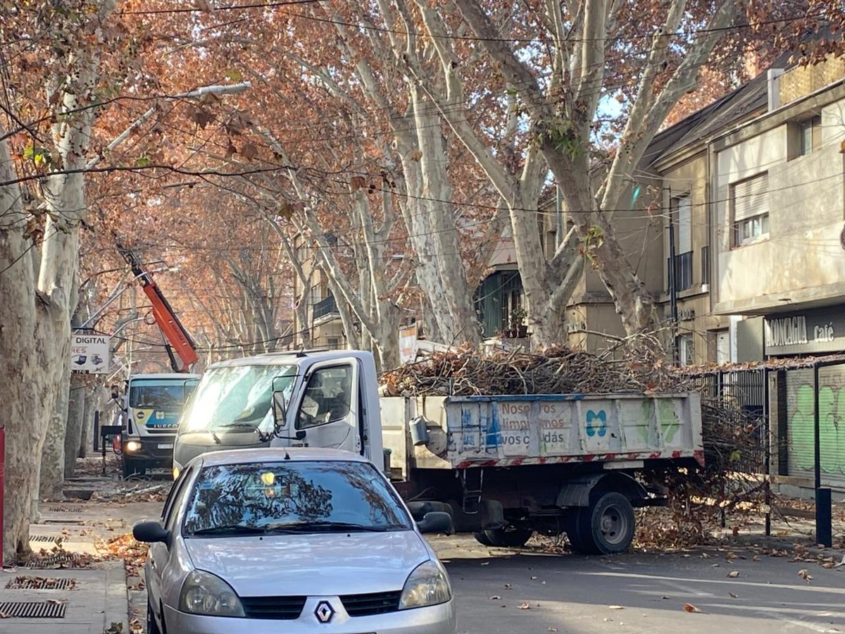 Radio Mitre Mendoza tweet media