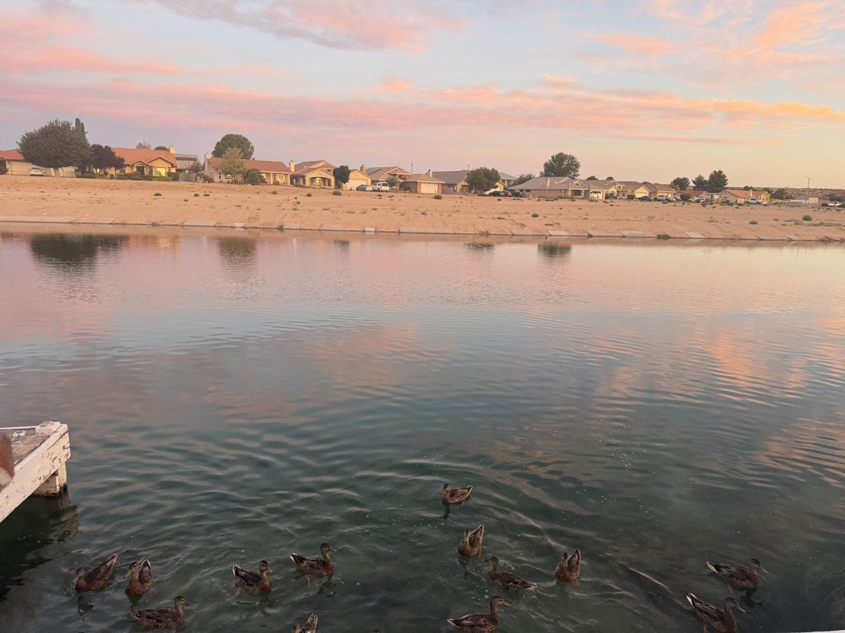 sunny_joni's tweet image. Watched the sunrise. Cotton candy clouds smiled at their reflection on the calm waters. Remember to look for the beautiful in this day. They are all around us. 💖