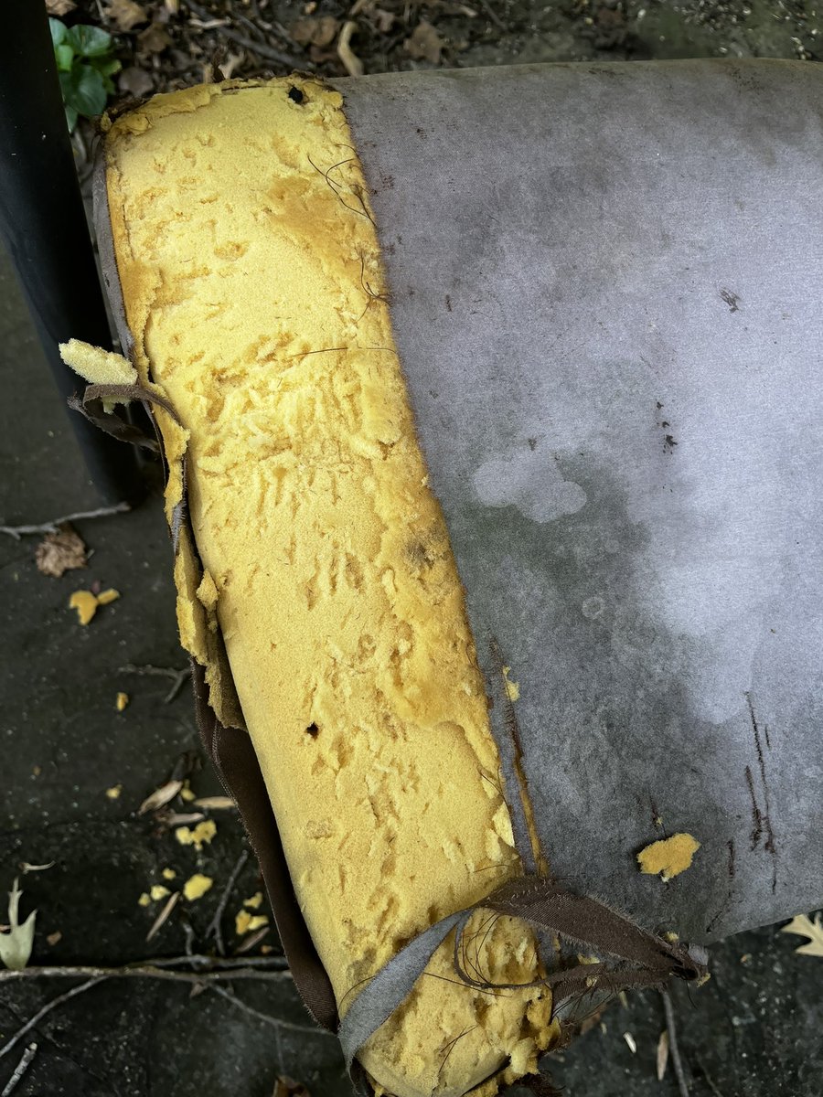 caryatis's tweet image. I think birds (cardinals?) are harvesting this chair pad for nesting material. Let’s hope it’s not toxic!