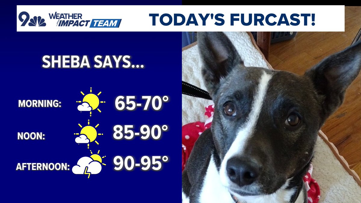BianchiWeather's tweet image. Today's furcast comes from Sheba, a 5-year-old female mix who loves kids and is available for adoption! It'll be nice and cool this morning before a toasty afternoon, with a few isolated storms.
Sheba is available for adoption from Demi's Animal Rescue - info below!
#COwx