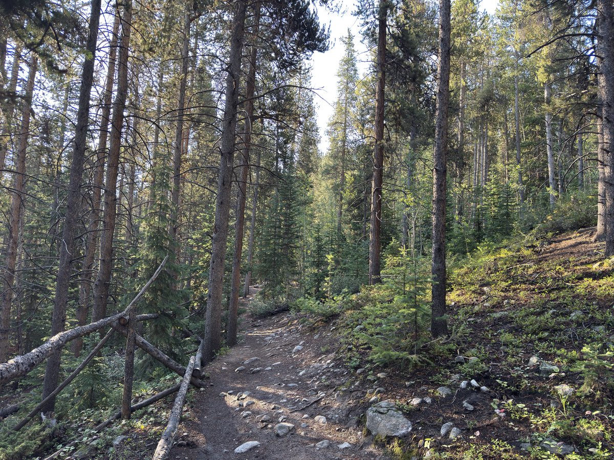 kirillzubovsky's tweet image. Anyone can move fast. It’s not that hard. To be comfortable, while standing perfectly still, that is something most people cannot do it at all.

Don’t let the world’s miserable and unsettled convince you that their way of life is somehow worth living for.